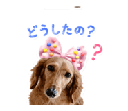881242298