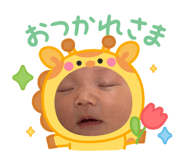 881243474