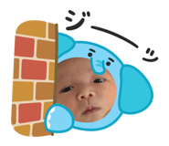 881243479