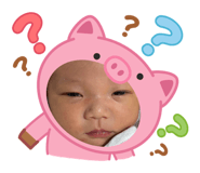 881243480
