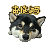 881243569