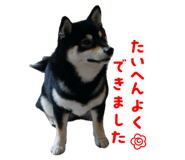 881243573