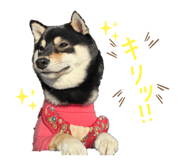 881243578