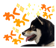 881243583