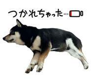881243584