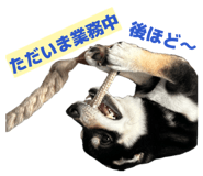 881243589