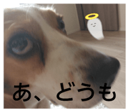 881243881