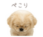 881243972