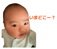 881244547