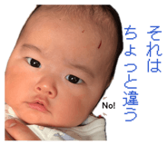 881244559