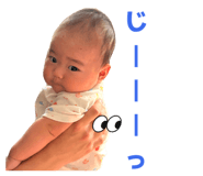 881244567