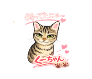 881245715