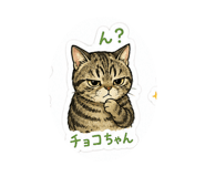 881245719