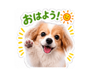 881246327