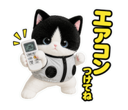 881247052