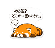 881249752