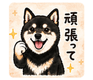 881250038