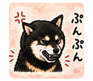 881250039