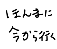 881258262