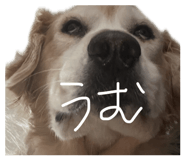 881259221