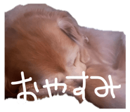 881259225