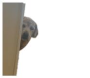 881259227