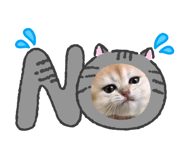 881259881