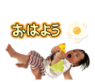 881261619