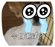 881263971