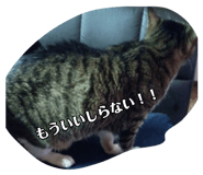 881263979