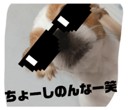 881263983