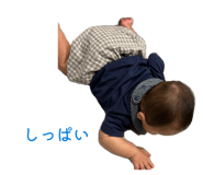 881286205