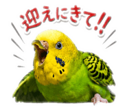 881286970