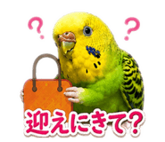 881286973