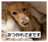 881286998