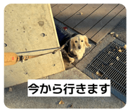 881287000