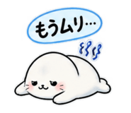 881287061