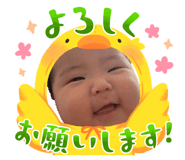 881288162