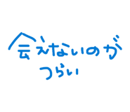 881300035