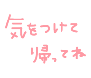 881300046