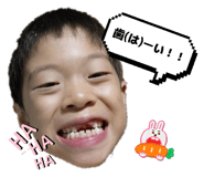 881300137