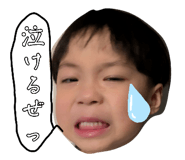 881300146