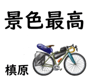 881308687
