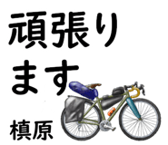 881308694
