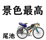 881308727