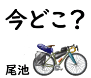 881308741