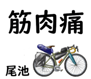 881308756