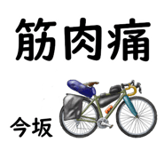 881308804