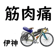881309060