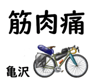 881309308